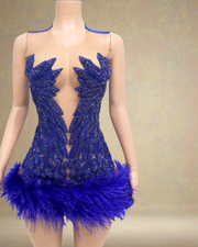 Sparkly rhinestone sleeveless birthday dress for women party and club wear.