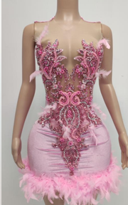 Sheer pink O-neck mini birthday dress with feather details and a fitted silhouette for women.