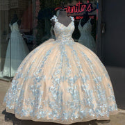 Gorgeous Lace Princess Ball Quinceanera Dress - Envious Designs