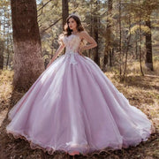 Crystal Light Purple Princess Sweetheart Quinceanera Dress - Envious Designs