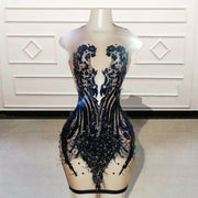 Sparkly Sequin Sexy Sheer Birthday Dress