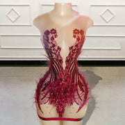 Sexy Sheer Sparkly Sequin Feathers Birthday Dress
