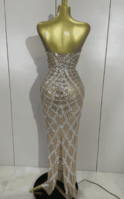 Nica shining sequin mesh long dress for women. Transparent sexy evening dress for birthdays, parties, nightclub, photoshoot, and stage wear.
