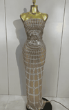 Nica shining sequin mesh long dress for women. Transparent sexy evening dress for birthdays, parties, nightclub, photoshoot, and stage wear.