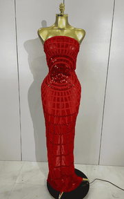 Nica shining sequin mesh long dress for women. Transparent sexy evening dress for birthdays, parties, nightclub, photoshoot, and stage wear.