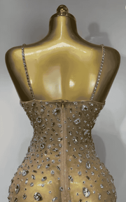 Elle rhinestone mesh see through bodycon dress for women. Sexy luxury outfit for birthdays, cocktail parties, club nights, and stage wear.