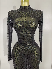 Elaine long sleeve sheer black maxi dress with sparkling crystals and luxury feather trim on the sleeves and hem.