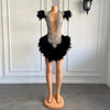 Fitted Beading Sequin Short Feathers Birthday Party Dress