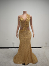 Genevieve Gold Crystal Mesh See-Through Long Evening Gown-Ready to Ship