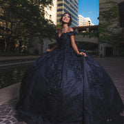 Chic Black Quinceañera Ball Gown with Beading & 3D Flowers