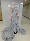 Luxury Crystal Long Prom Dress with Feathers