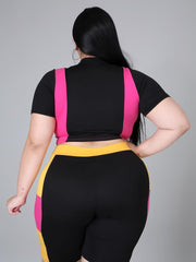 Contrast Color Casual Plus Size 2 Piece Pants Set