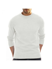 Pure Color Crewneck Long Sleeve Men's Sweater