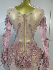 Envious Designs Alicia luxury embroidery sexy long sleeves mesh stretch jumpsuit with sparkly diamond detailing