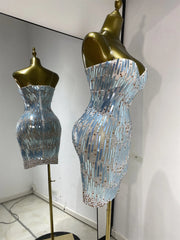 Eisa sequin rhinestone mesh bodycon mini dress for women. Sexy sparkly outfit for birthdays, nightlife, and photoshoots.