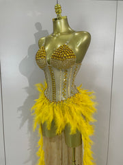 Gabrielle luxury rhinestone feather mesh long tail bodysuit for women, perfect for stage and nightclub performances.