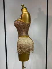 Frankie rhinestone fringe mesh bodysuit with bodycon fit. Luxury stage outfit for DJs, nightclub parties, performances, and glam events.