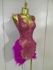 Nina Sparkly Rhinestone Feather Hot Pink Mesh Bodycon Mini Dress for Women