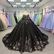 Black Beautiful Multi-color Quinceañera Dress