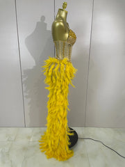 Gabrielle luxury rhinestone feather mesh long tail bodysuit for women, perfect for stage and nightclub performances.