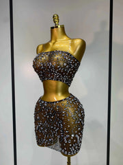 Jinnie Sparkling Rhinestone Sheer See-Through Bodycon Dress for Women