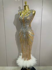 Envious Designs Ara luxury sparkly silver rhinestone sexy mesh see-through long dress for evening gala styling
