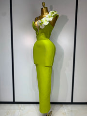 Elegant bodycon maxi dress with applique details and V-neckline