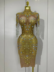 Kamryn luxury diamond tassel mesh see-through dress for women’s evening, birthday, or stage performances.