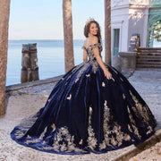 Navy Blue Velvet Quinceañera Ball Gown