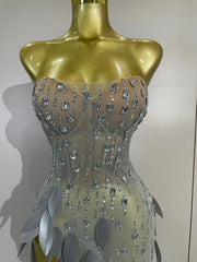 Saniyah silver diamond leaf strapless mesh see-through long dress for evening gala styling
