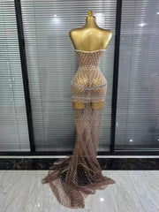 Meisha silver rhinestone strapless mesh mermaid gown for women. Elegant floor-length dress for parties, birthdays, and events.