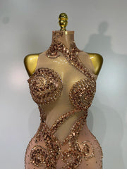 Jillian sparkly diamond sequin sheer mesh asymmetric bodycon dress
