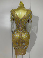 Kamryn luxury diamond tassel mesh see-through dress for women’s evening, birthday, or stage performances.