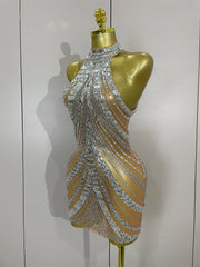 Kimmy silver rhinestone mesh see through mini dress for women. Sexy sparkly outfit for birthdays, nightlife, and stage wear.