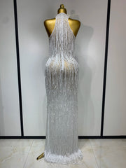 Allison elegant sexy shiny crystal tassel long dress