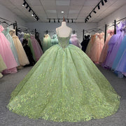 Glitter Tulle Quinceanera Dress