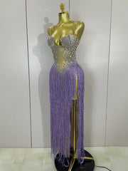 Cleo sheer mesh long dress with rhinestones, glitter, and tassel details for women’s evening, club, or stage wear.