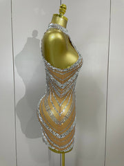 Kimmy silver rhinestone mesh see through mini dress for women. Sexy sparkly outfit for birthdays, nightlife, and stage wear.