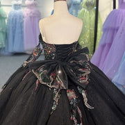 Black Beautiful Multi-color Quinceañera Dress