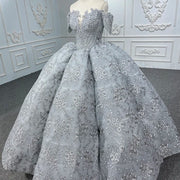 Organza Appliqué Ball Gown Quinceañera Dress