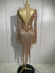 Aimee sexy sheer mesh long sleeve sparkly rhinestone sequin tassel dress