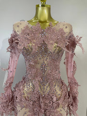 Envious Designs Alicia luxury embroidery sexy long sleeves mesh stretch jumpsuit with sparkly diamond detailing