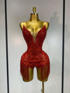 Envious Designs Sharmaine sparkly rhinestone tassel bodysuit sexy birthday dress for birthday and nightclub styling