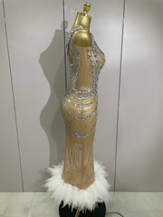Envious Designs Ara luxury sparkly silver rhinestone sexy mesh see-through long dress for evening gala styling