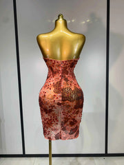 Jada Luxury Rhinestone Bodycon Birthday Dress