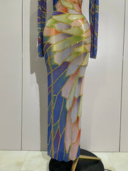 Jamie luxury sparkly rhinestone sheer mesh long dress with stretchy bodycon fit for evening party and stage wear