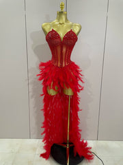 Gabrielle luxury rhinestone feather mesh long tail bodysuit for women, perfect for stage and nightclub performances.