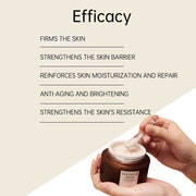 https://ae-pic-a1.aliexpress-media.com/kf/Sc9e4b2b173134ba7b991372b90cc93982.jpg_500x500.jpg_.webp