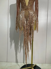 Aimee sexy sheer mesh long sleeve sparkly rhinestone sequin tassel dress