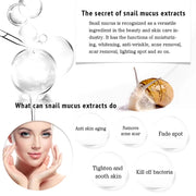 Snail Caviar Hyaluronic Acid Serum For Face Care Beauy Firming Hydrating Brightening Moisturizing Facial Serum Skin Care